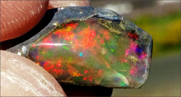 Bc Opal Mine Shares For Sale